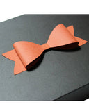 Paper Bow-Craft.ph